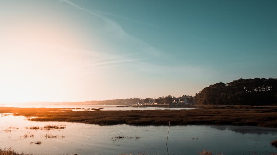 Paysage côtier du Golfe du Morbihan sous ciel bleu